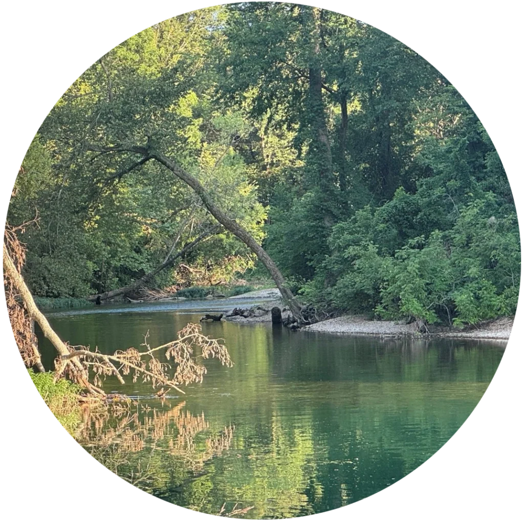 A daytime image of beautiful water in a creek, surrounded on all sides by lush green trees and a gravel bar.
