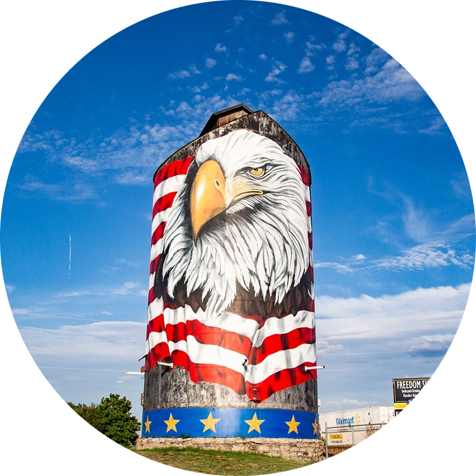 Freedom Silo, a tall grain silo in a green field painted with a giant, detailed head of a bald eagle in front of an American flag, at a park in Monett, MO.
